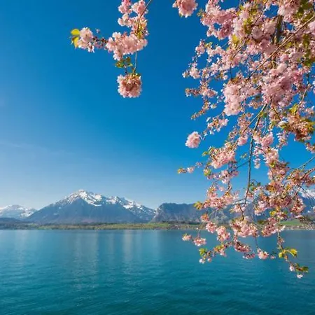 Schoene Mit Seeblick *