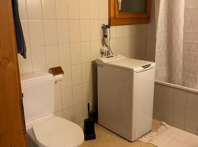 Schoene Mit Seeblick Apartment Thun