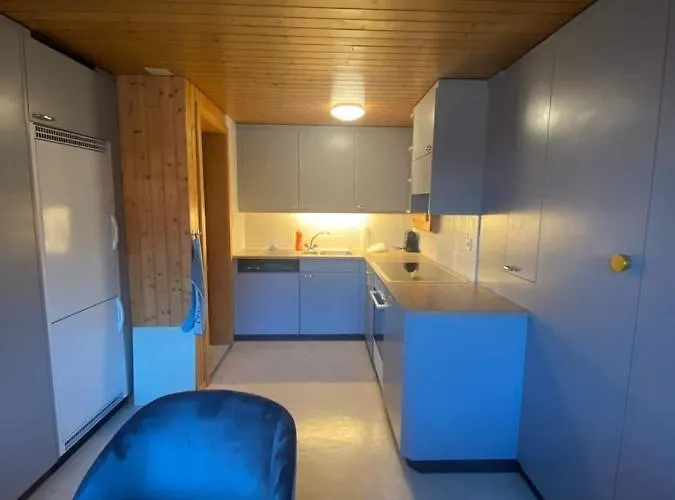 Schoene Mit Seeblick Thun