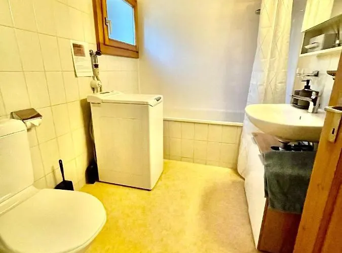 Schoene Mit Seeblick Appartement Thoune