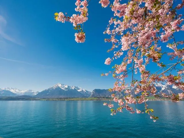 Schoene Mit Seeblick *